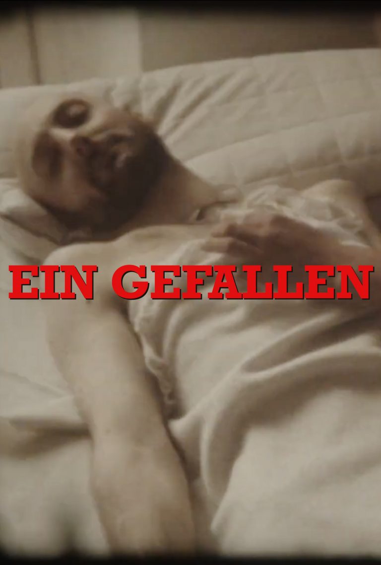 ein-gefallen-poster