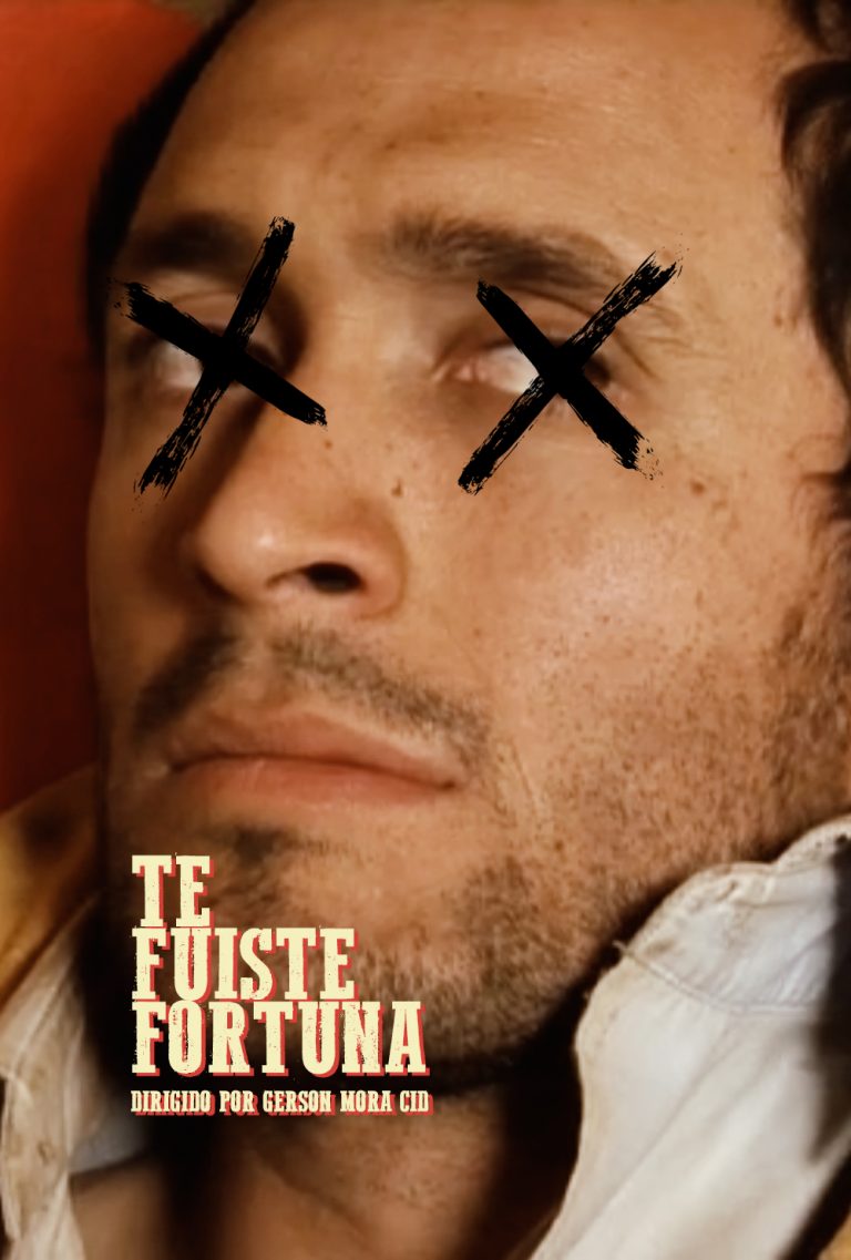 tefuistefortuna-poster